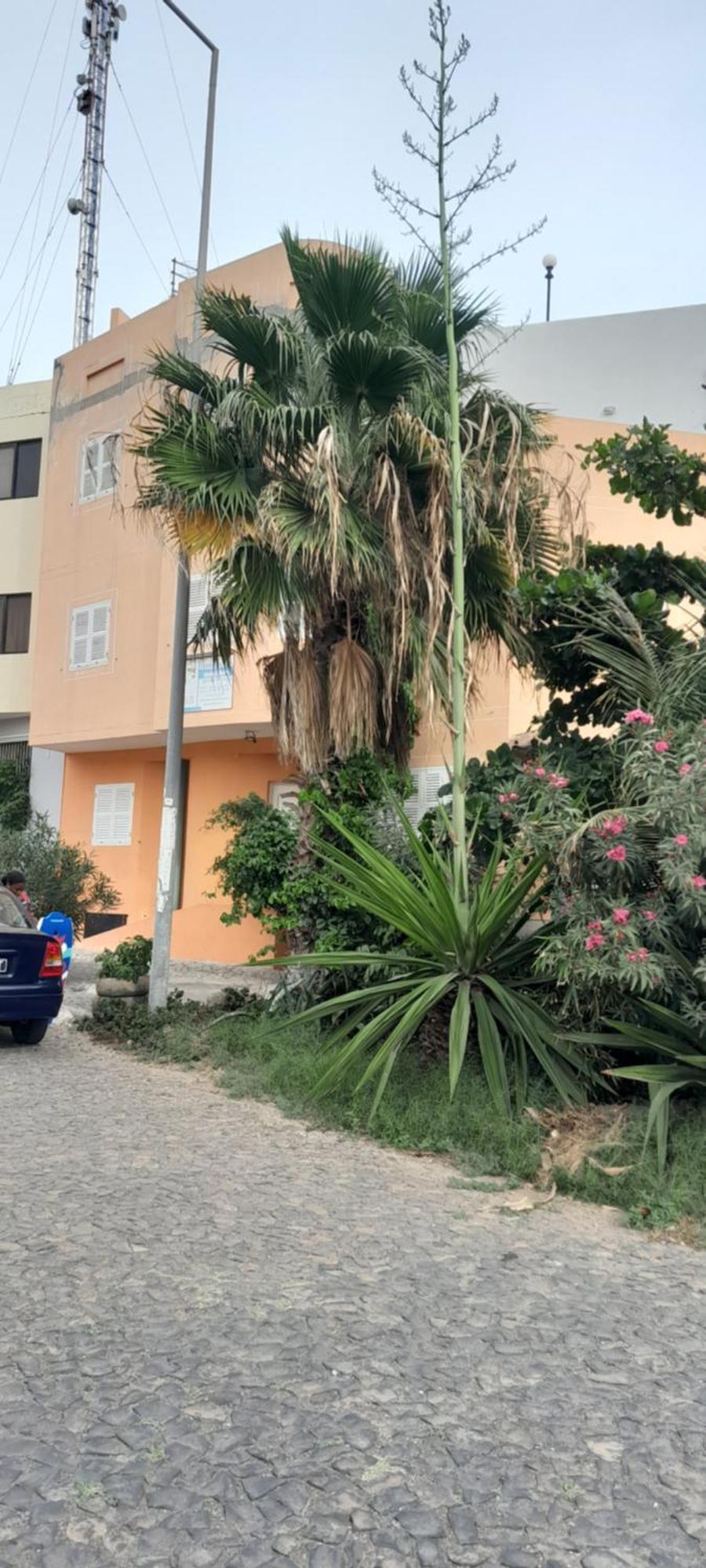 Laginha Beach Guest House Mindelo Exteriör bild